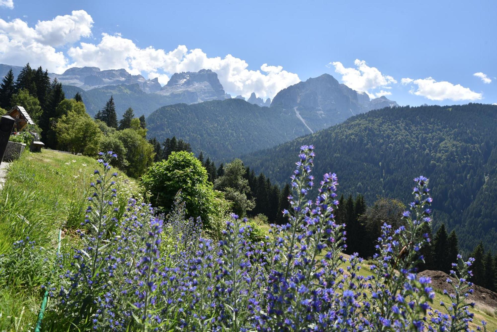 Albergo Ristorante Al Frate Da Streza Madonna di Campiglio Luaran gambar