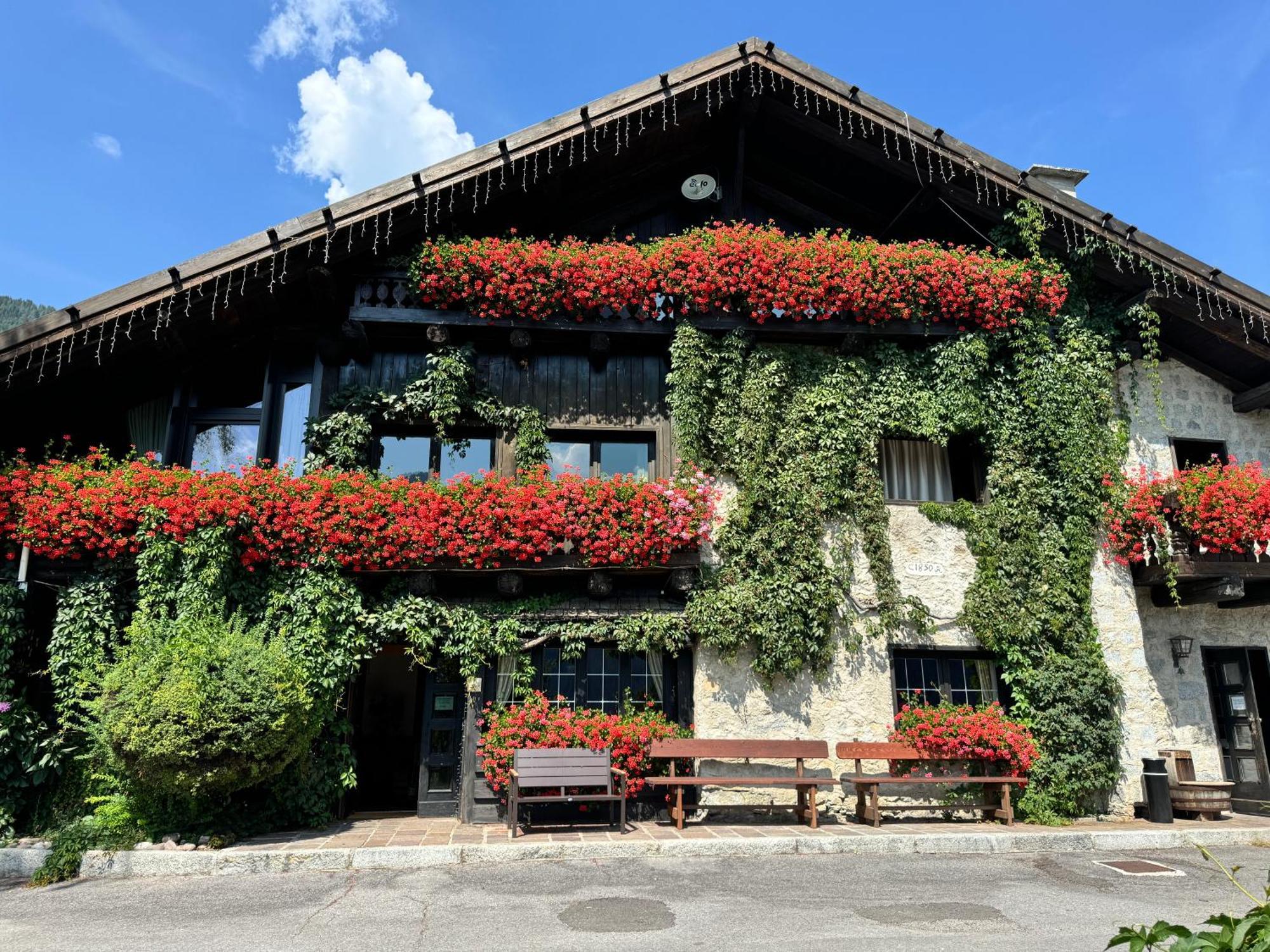 Albergo Ristorante Al Frate Da Streza Madonna di Campiglio Luaran gambar