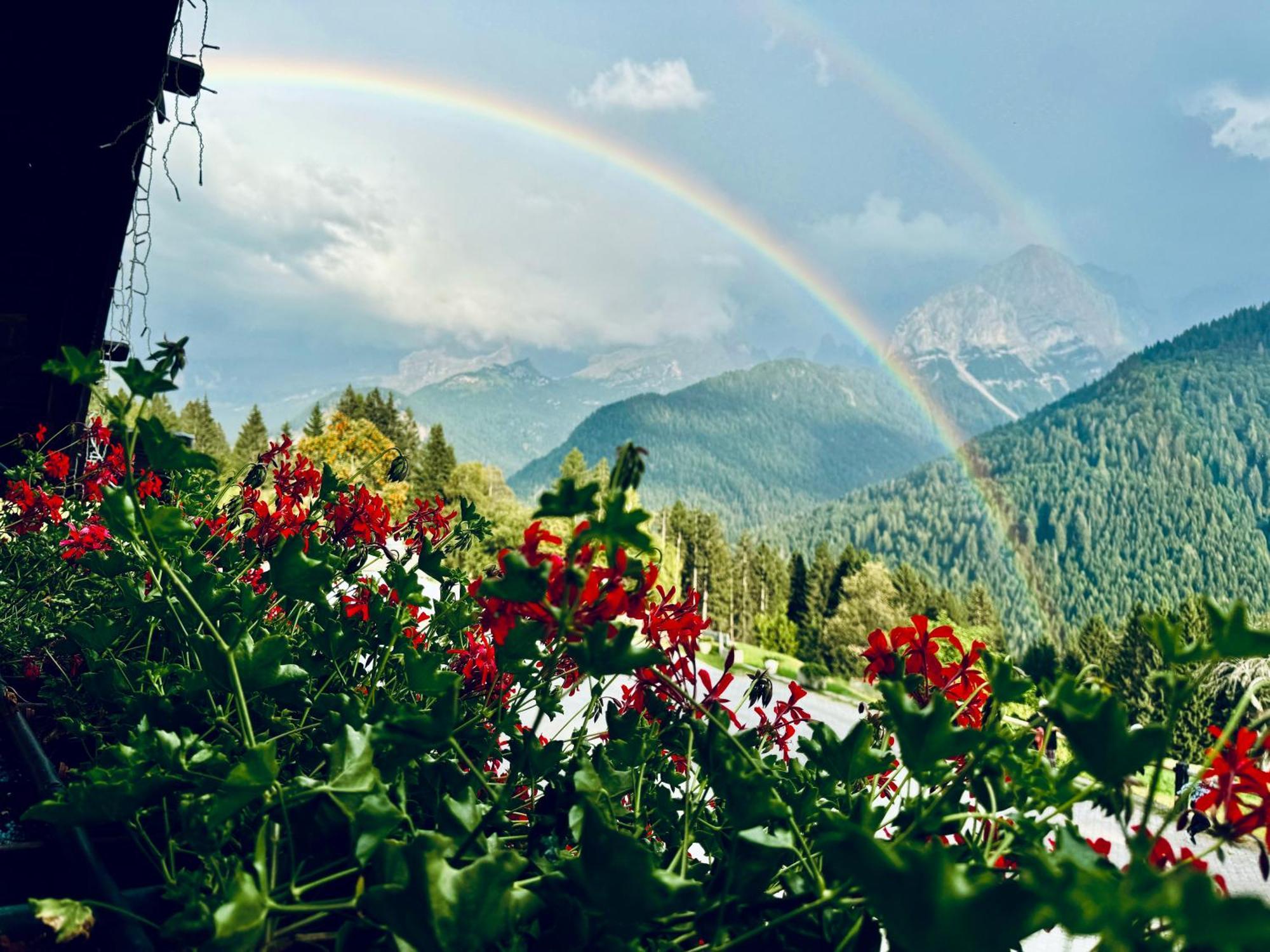 Albergo Ristorante Al Frate Da Streza Madonna di Campiglio Luaran gambar