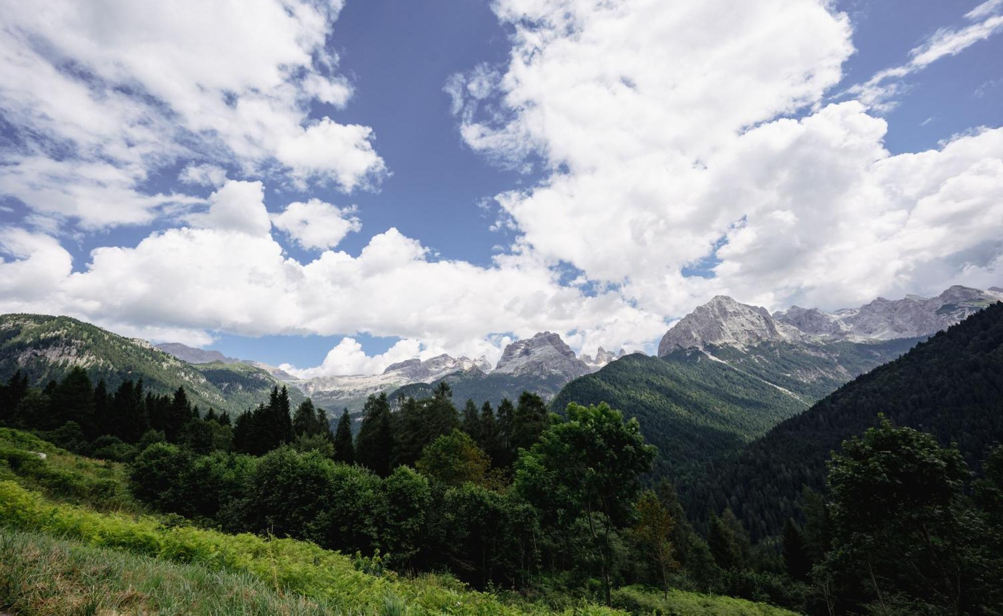 Albergo Ristorante Al Frate Da Streza Madonna di Campiglio Luaran gambar